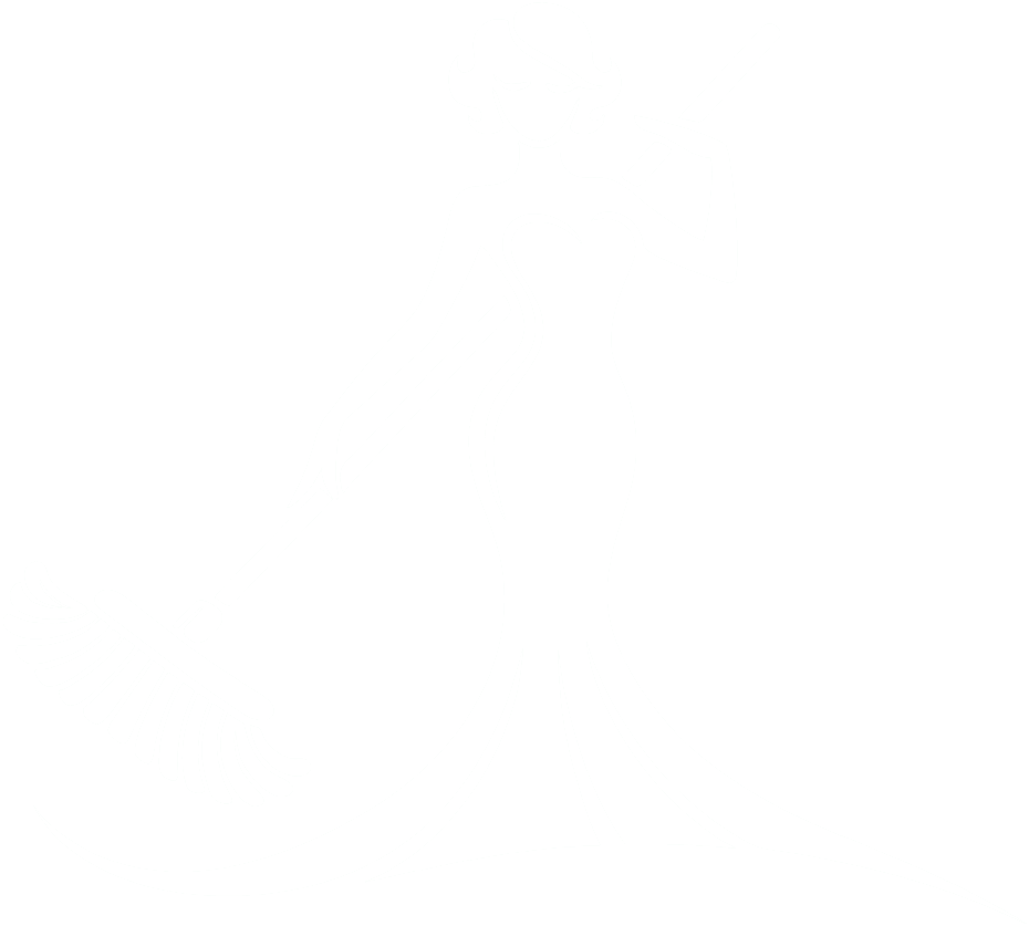 Deep-Clean Divas logo